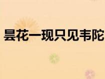 曇花一現(xiàn)只見韋陀（曇花一現(xiàn)只為韋陀典故）