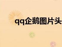 qq企鵝圖片頭像大全（qq企鵝圖片）
