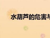 水葫蘆的危害與處理（水葫蘆的危害）