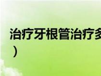 治療牙根管治療多少錢（大牙根管治療多少錢）