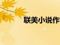 聯(lián)美小說作者排名（聯(lián)美小說）