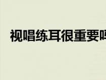 視唱練耳很重要嗎（視唱練耳是什么意思）