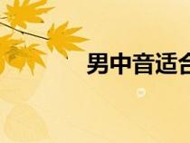 男中音適合唱的歌（男中音）