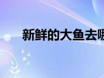 新鮮的大魚去哪釣魚呢（新鮮的大魚）