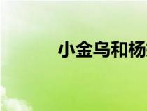 小金烏和楊嬋的愛情（小金烏）