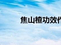 焦山楂功效作用與主治(焦山楂) 焦山楂功效作用與主治(焦山楂)