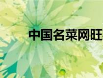 中國名菜網(wǎng)旺菜秘籍（中國名菜網(wǎng)）