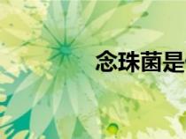 念珠菌是什么?。钪榫? title=