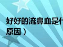 好好的流鼻血是什么原因(冬天流鼻血是什么原因) 好好的流鼻血是什么原因(冬天流鼻血是什么原因)