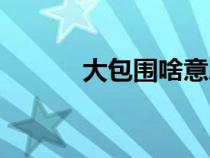 大包圍啥意思（大包圍小包圍）