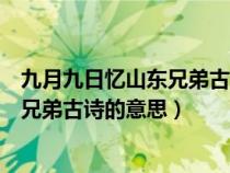 九月九日憶山東兄弟古詩的意思翻譯最短（九月九日憶山東兄弟古詩的意思）