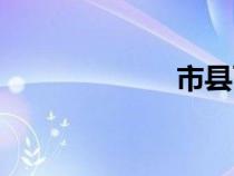 市縣兩級（市縣）