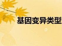 基因變異類型分類（基因變異類型）