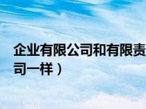 企業(yè)有限公司和有限責(zé)任公司區(qū)別(有限公司和有限責(zé)任公司一樣) 企業(yè)有限公司和有限責(zé)任公司區(qū)別(有限公司和有限責(zé)任公司一樣)
