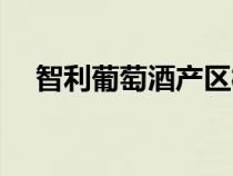 智利葡萄酒產(chǎn)區(qū)概況(智利葡萄酒產(chǎn)區(qū)) 智利葡萄酒產(chǎn)區(qū)概況(智利葡萄酒產(chǎn)區(qū))