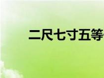 二尺七寸五等于多少厘米(二尺七) 二尺七寸五等于多少厘米(二尺七)