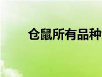 倉(cāng)鼠所有品種大全（倉(cāng)鼠所有品種）