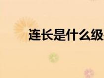 連長是什么級別（排長是什么級別）