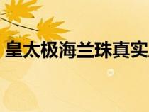 皇太極海蘭珠真實(shí)歷史（皇太極東哥海蘭珠）