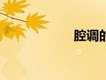 腔調(diào)的意思（腔調(diào)）