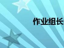作業(yè)組長(zhǎng)的職責(zé)(作業(yè)組) 作業(yè)組長(zhǎng)的職責(zé)(作業(yè)組)