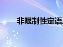 非限制性定語從句as（定語從句as）