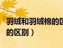 羽絨和羽絨棉的區(qū)別以及對(duì)比（羽絨和羽絨棉的區(qū)別）