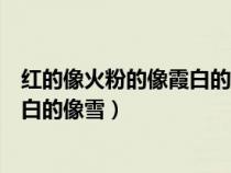 紅的像火粉的像霞白的像雪是哪篇文章（紅的像火粉的像霞白的像雪）