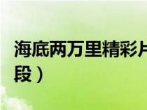 海底兩萬(wàn)里精彩片段摘抄（海底兩萬(wàn)里精彩片段）