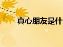 真心朋友是什么樣子的（真心朋友）