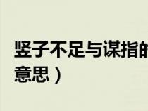 豎子不足與謀指的是誰（豎子不足與謀是什么意思）