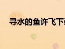 尋水的魚許飛下載mp3（尋水的魚許飛）