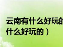 云南有什么好玩的地方旅游景點(diǎn)推薦（云南有什么好玩的）