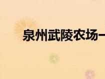 泉州武陵農(nóng)場一日游（泉州武陵農(nóng)場）