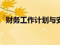 財務(wù)工作計劃與安排（財務(wù)會計工作計劃）