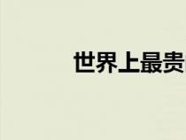 世界上最貴的玩具車(chē)（世界上）