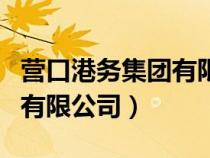 營口港務(wù)集團(tuán)有限公司董事長（營口港務(wù)集團(tuán)有限公司）