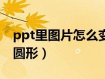 ppt里圖片怎么變成圓形（ppt圖片怎么變成圓形）