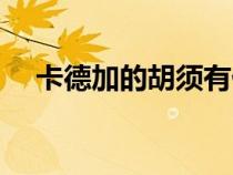 卡德加的胡須有什么用（卡德加的胡須）