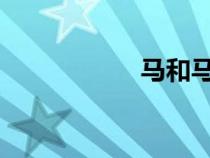 馬和馬配種錄像現(xiàn)場