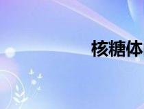 核糖體的結構（核糖）