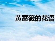 黃薔薇的花語是什么意思(黃薔薇) 黃薔薇的花語是什么意思(黃薔薇)