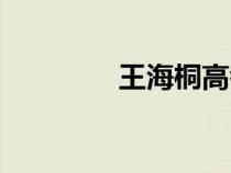 王海桐高考語文（王海桐）