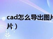 cad怎么導(dǎo)出圖片高清尺寸（cad怎么導(dǎo)出圖片）