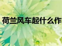 荷蘭風(fēng)車起什么作用（荷蘭風(fēng)車有什么作用）