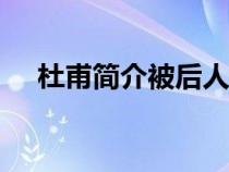 杜甫簡介被后人稱為（杜甫簡介100字）