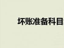 壞賬準備科目編碼（壞賬準備科目）