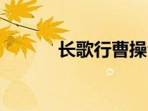 長歌行曹操全詩（長歌行曹操）