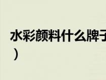 水彩顏料什么牌子好用（水彩顏料什么牌子好）