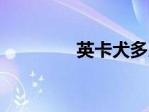 英卡犬多少錢一只（英卡）
